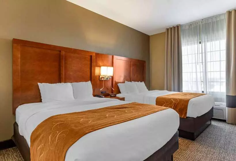 酒店 Comfort Suites Grand Rapids South