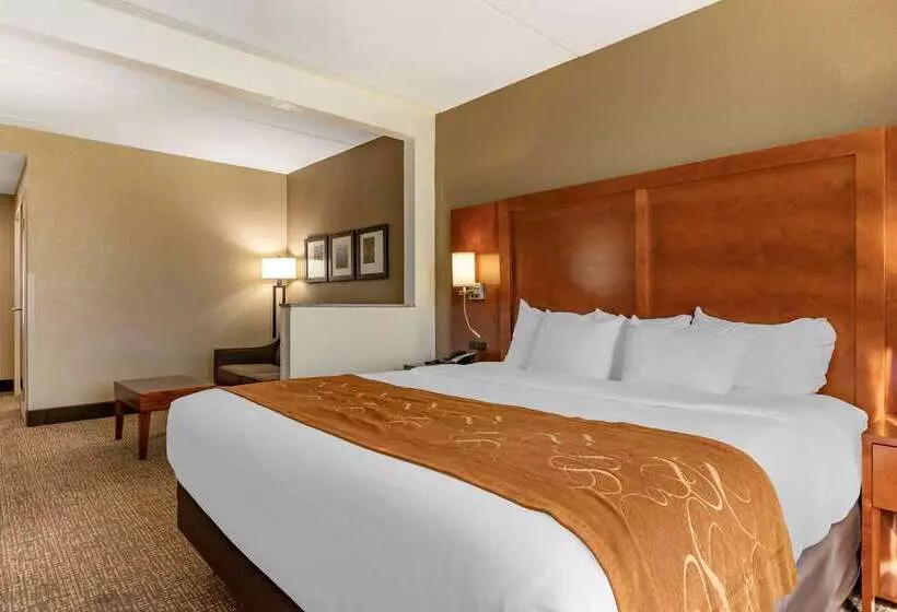 酒店 Comfort Suites Grand Rapids South