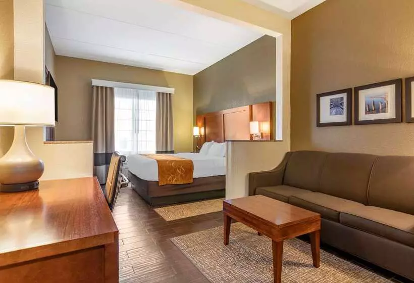 酒店 Comfort Suites Grand Rapids South