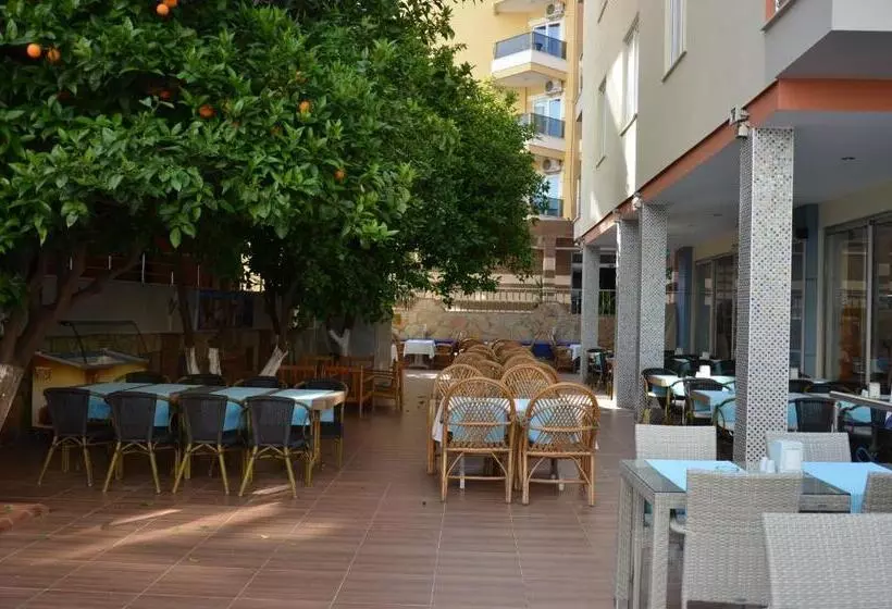 فندق Kleopatra Balik