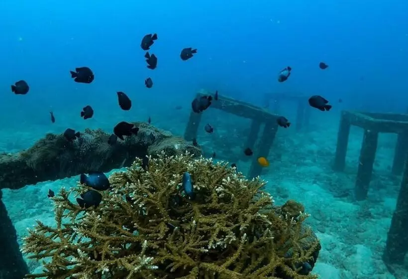 هتل Naithonburi Beach Resort