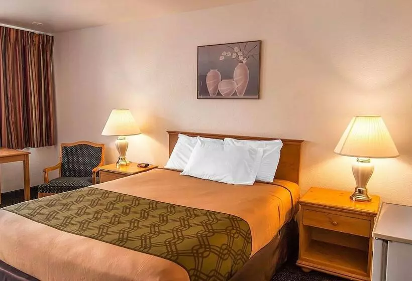 Отель Rodeway Inn