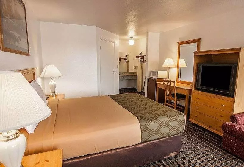 Отель Rodeway Inn