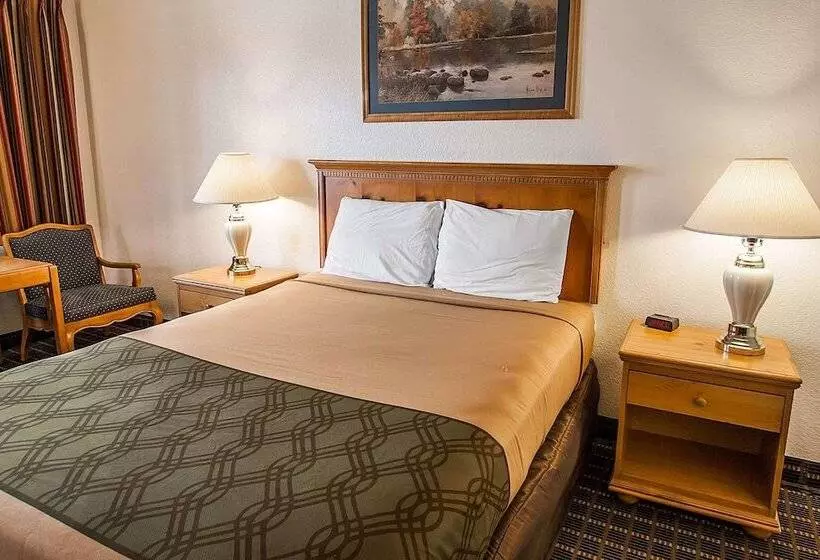 Отель Rodeway Inn