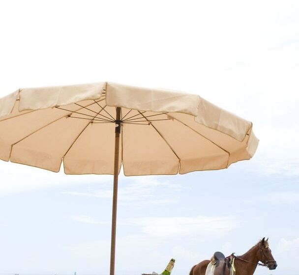 Szálloda Veranda Lodge