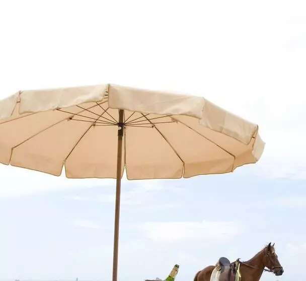 酒店 Veranda Lodge