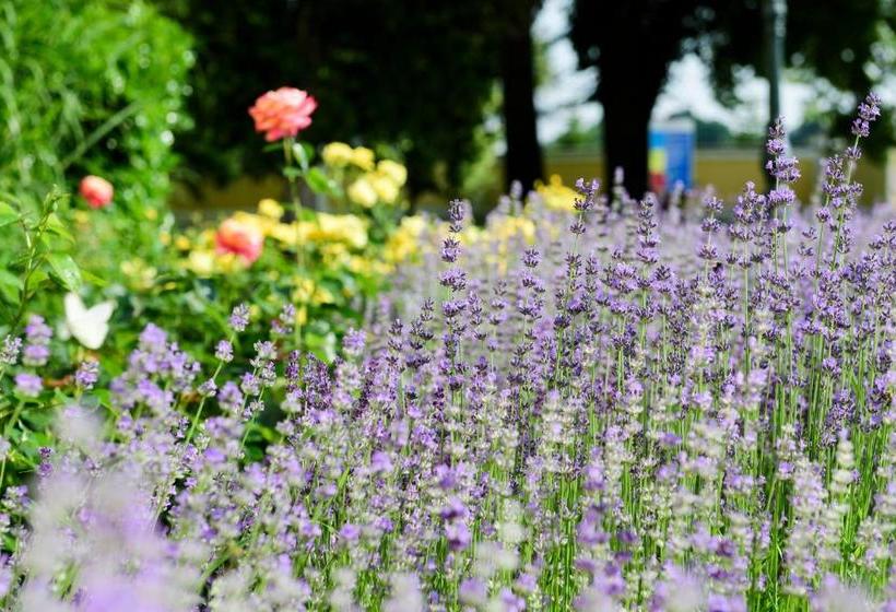 酒店 Hertelendy Kastély Exclusive