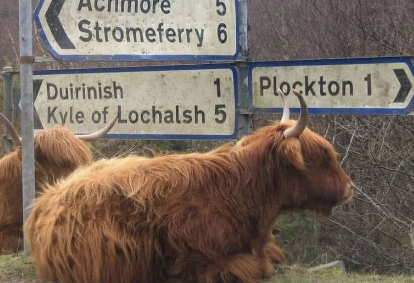 Immaculate Cabin 5 Mins To Inverness Dogs Welcome