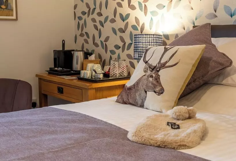 Morlea Bed & Breakfast