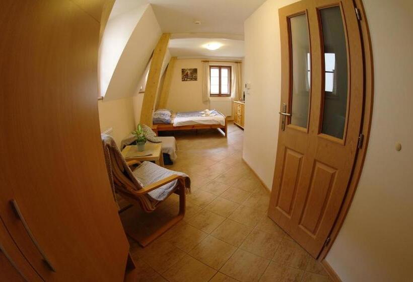 펜션 Penzion Hradební