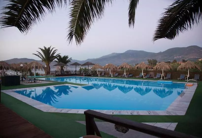 فندق Clara Resort
