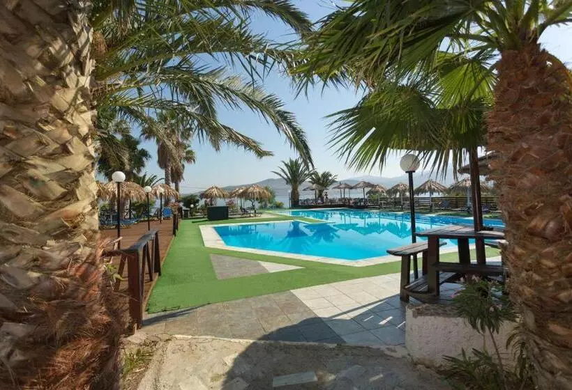 فندق Clara Resort