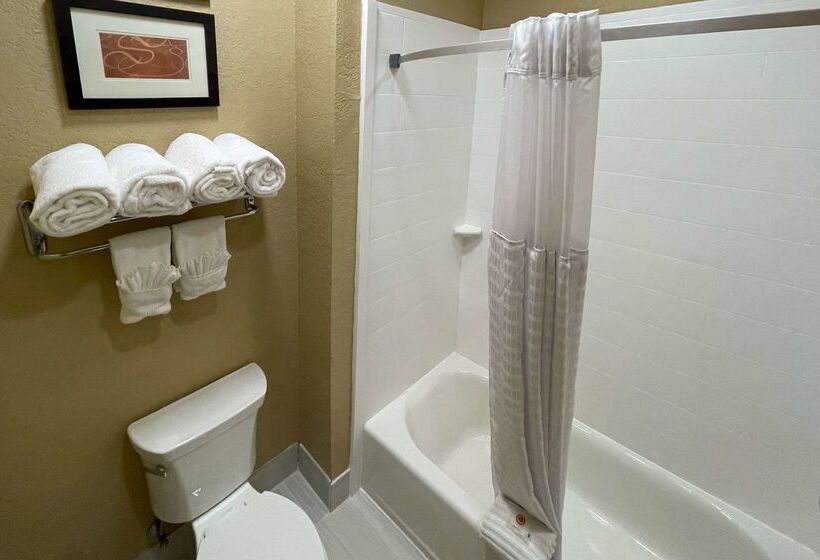 هتل Comfort Suites Near Seaworld