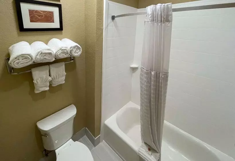 בית מלון כפרי Comfort Suites Near Seaworld