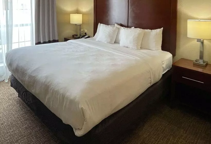 בית מלון כפרי Comfort Suites Near Seaworld