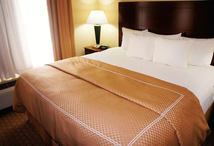 酒店 Comfort Suites Ormond Beach