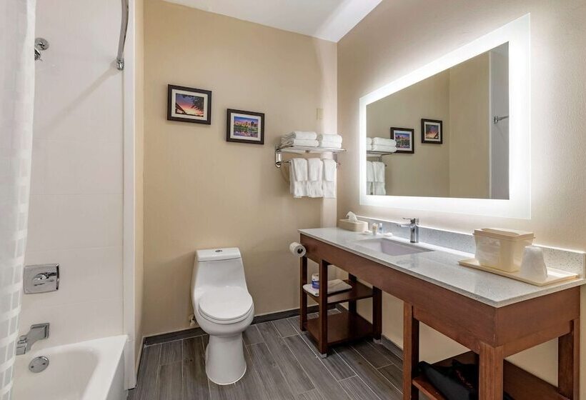 בית מלון כפרי Comfort Suites West Memphis I40 I55