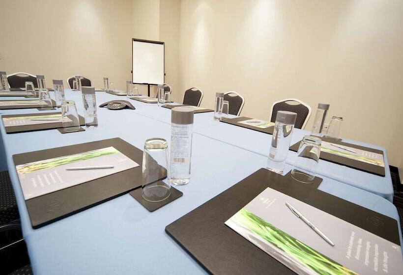 בית מלון כפרי Hilton Grand Vacations Club Elara Center Strip Las Vegas