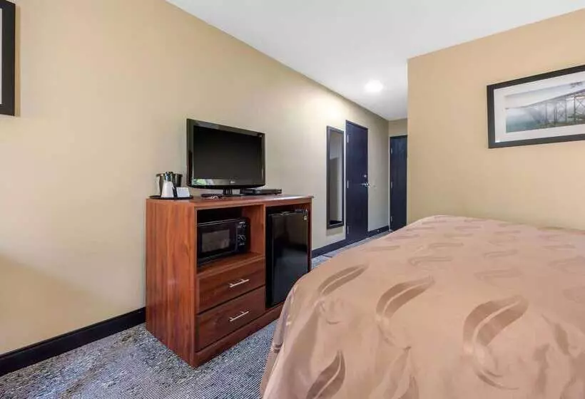 ホテル Quality Inn