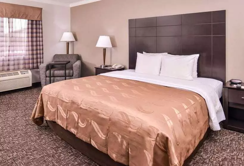 ホテル Quality Inn & Suites