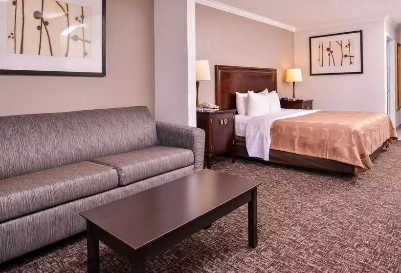 ホテル Quality Inn & Suites