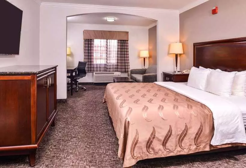 ホテル Quality Inn & Suites