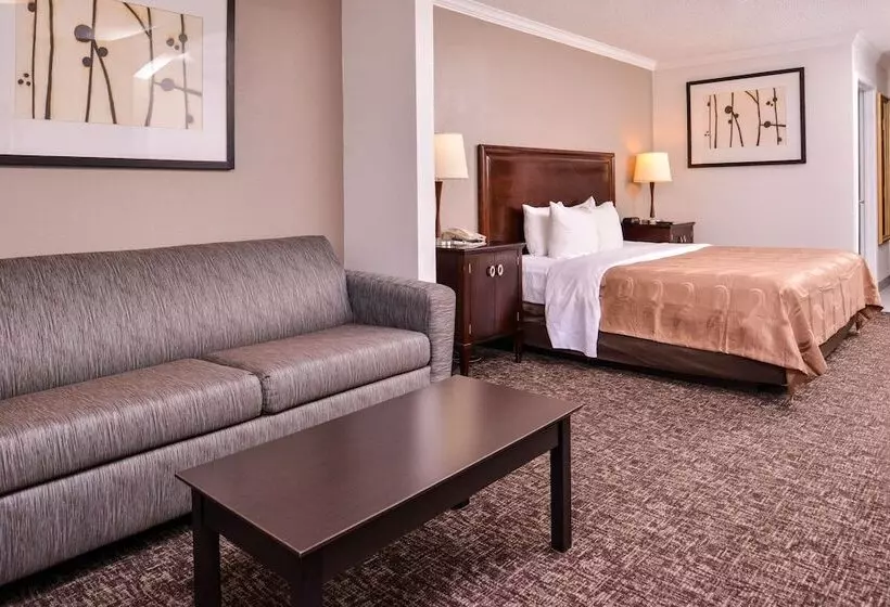 ホテル Quality Inn & Suites