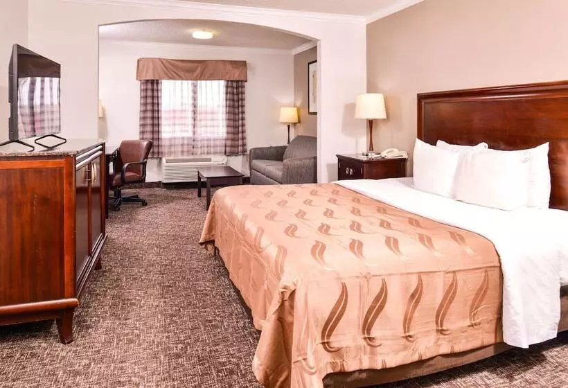 ホテル Quality Inn & Suites