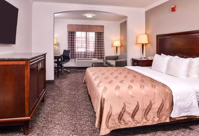 ホテル Quality Inn & Suites