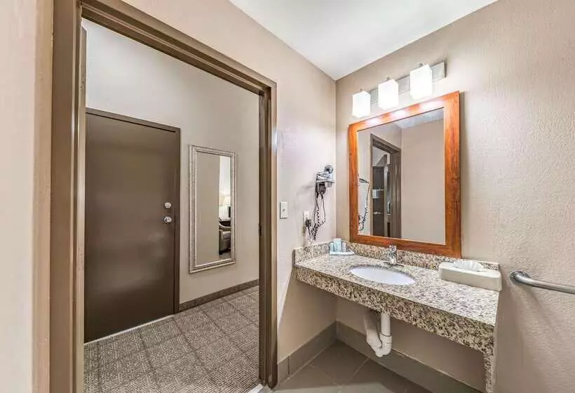 ホテル Quality Inn West Plano Dallas