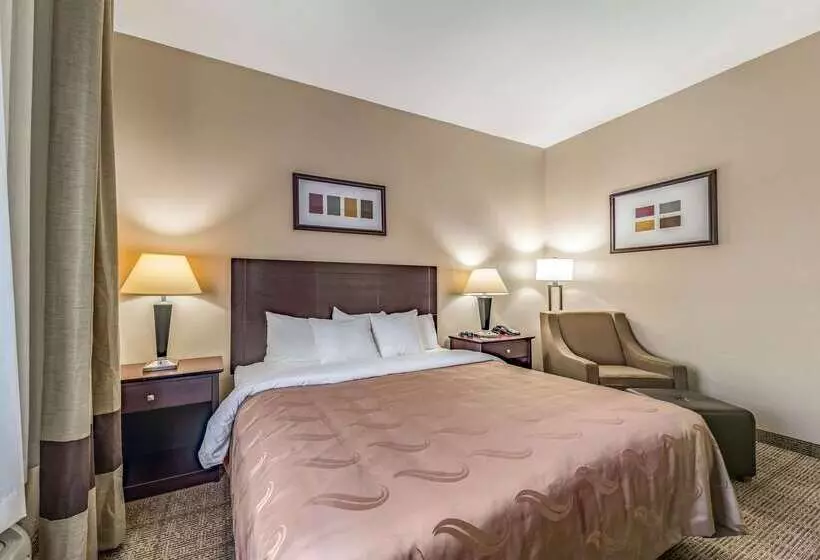 ホテル Quality Inn West Plano Dallas