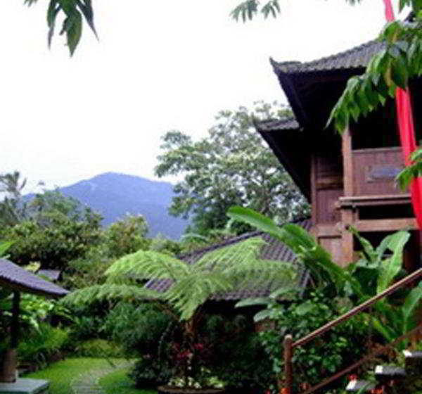 酒店 Bali Mountain Retreat