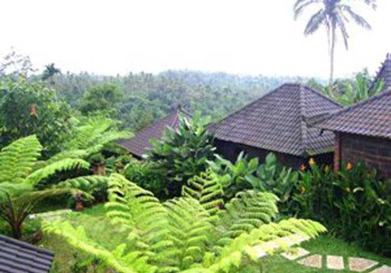 酒店 Bali Mountain Retreat