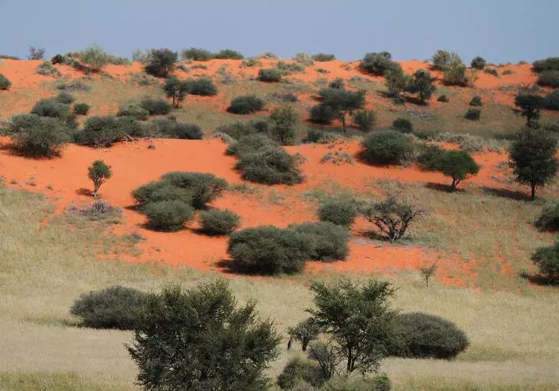 هتل Camelthorn Kalahari Lodge