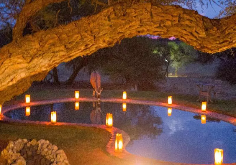 هتل Camelthorn Kalahari Lodge