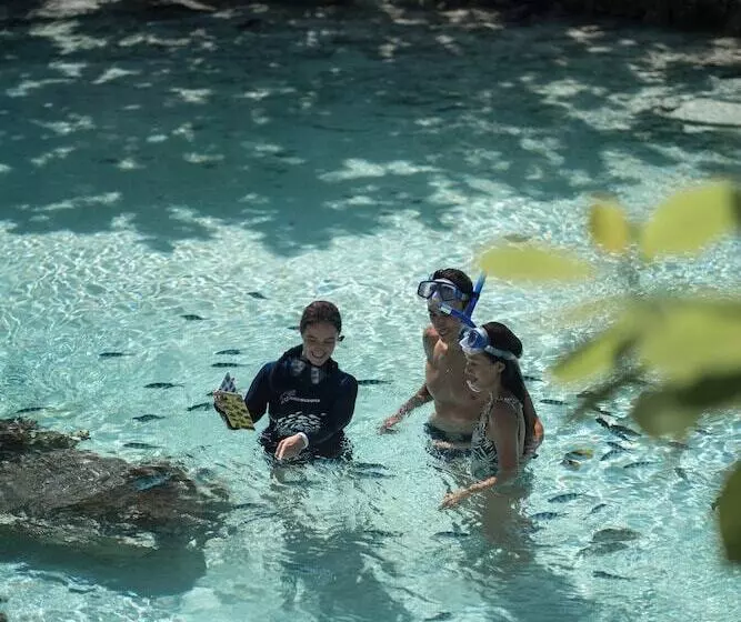 酒店 Four Seasons Resort Bora Bora