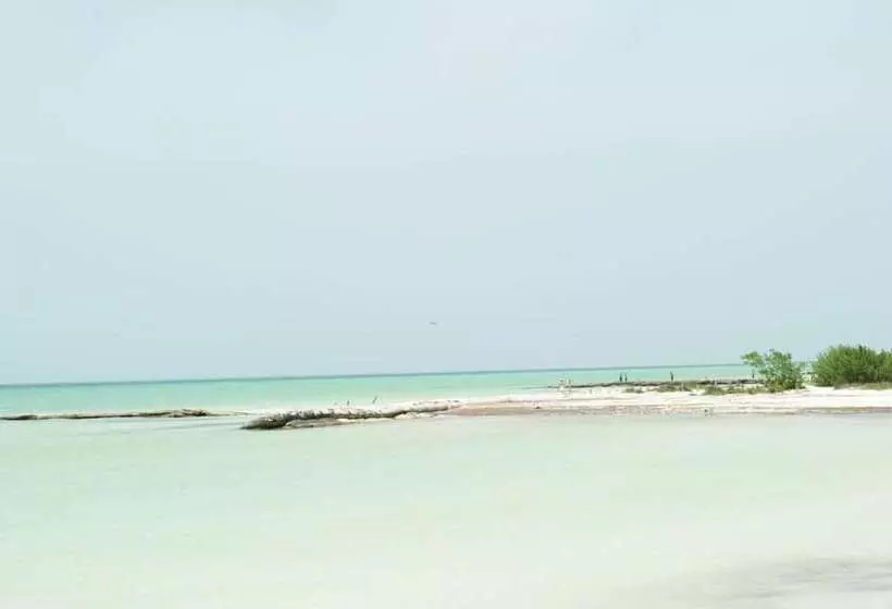 فندق Holbox Dream Beachfront