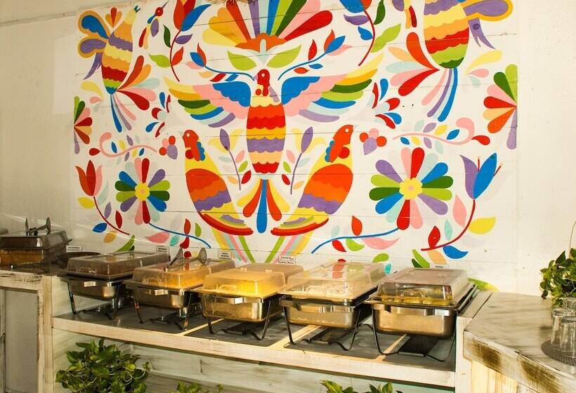 ホテル Holbox Dream Beachfront