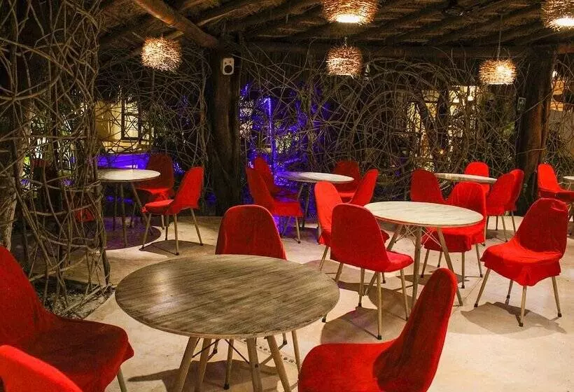 فندق Holbox Dream Beachfront