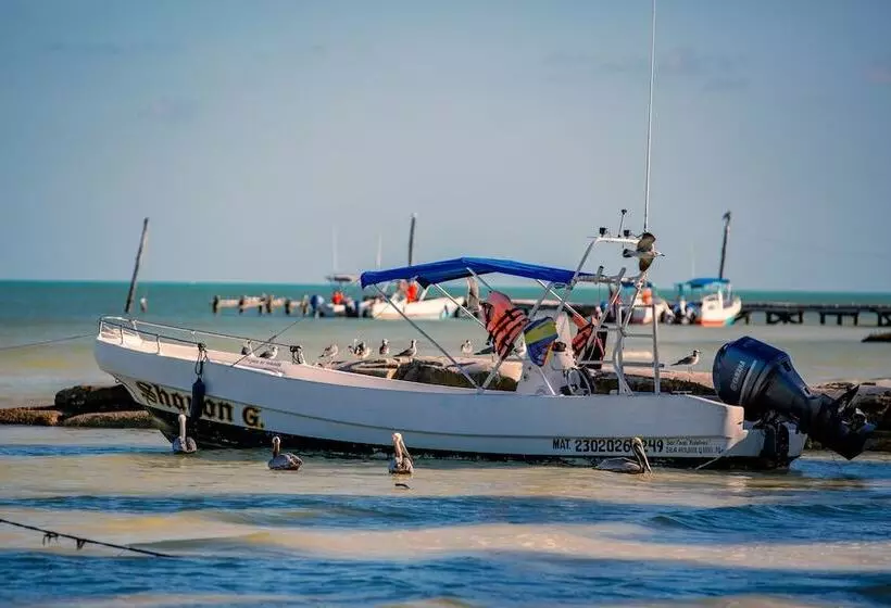 فندق Holbox Dream Beachfront