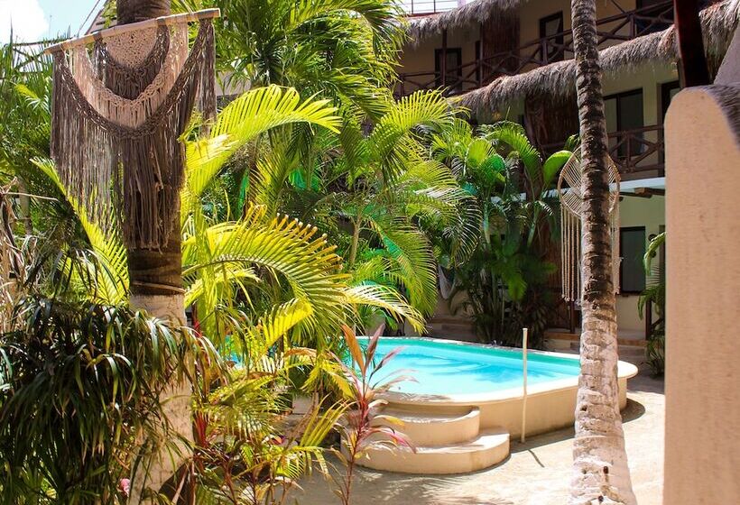 ホテル Holbox Dream Beachfront