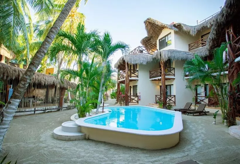 فندق Holbox Dream Beachfront