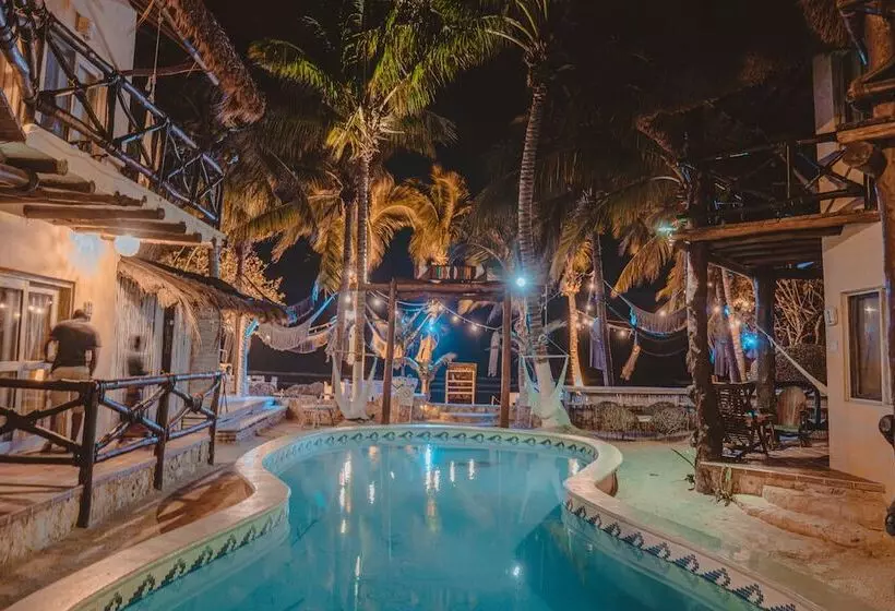 فندق Holbox Dream Beachfront