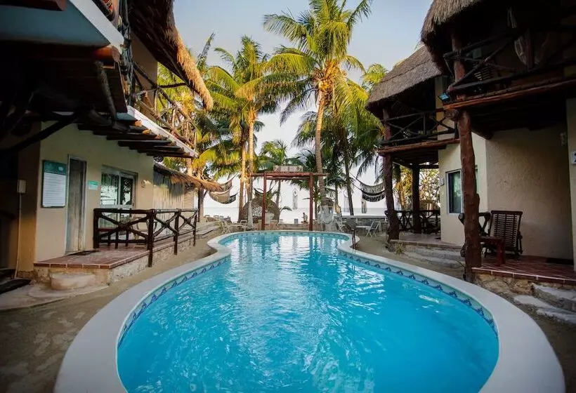 فندق Holbox Dream Beachfront
