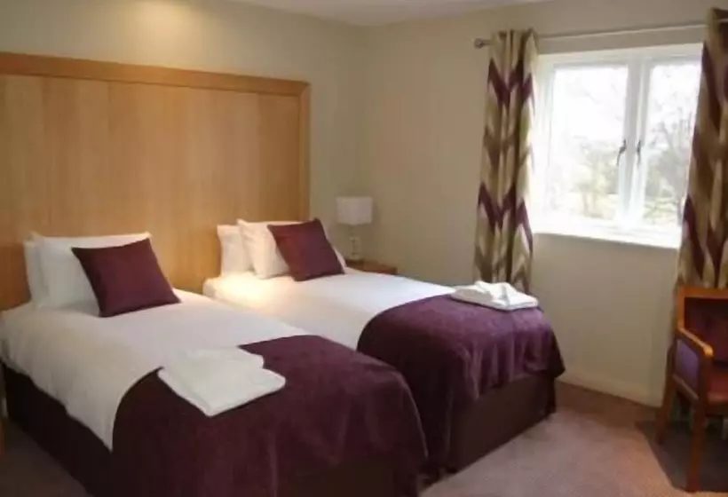 Отель Kings Court