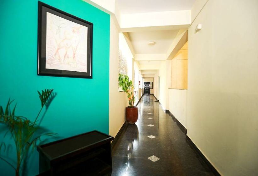 בית מלון כפרי Mint Green Path