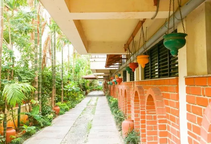 בית מלון כפרי Mint Green Path