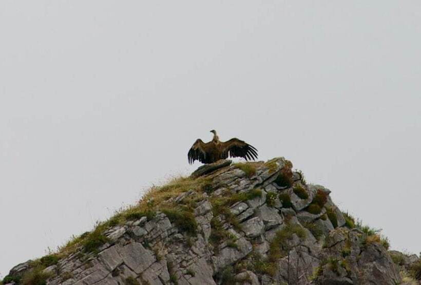 田舎風ホテル Rural El Sestil