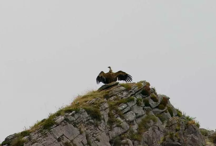 Сельский отель Rural El Sestil