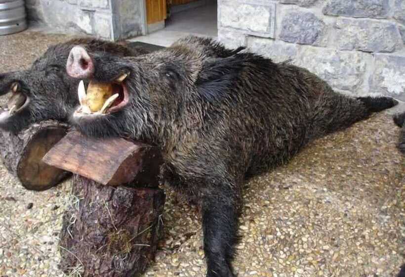 田舎風ホテル Rural El Sestil